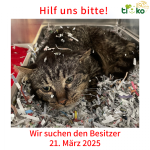 Fundtiere FB